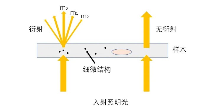 光學系統架構