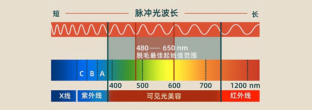 光子脫毛的波段圖
