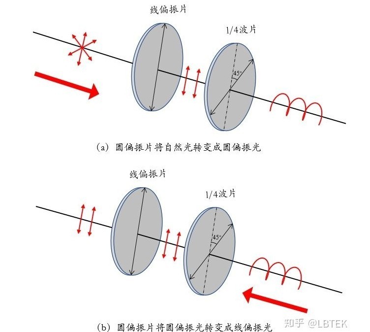 線偏振光和圓偏振光