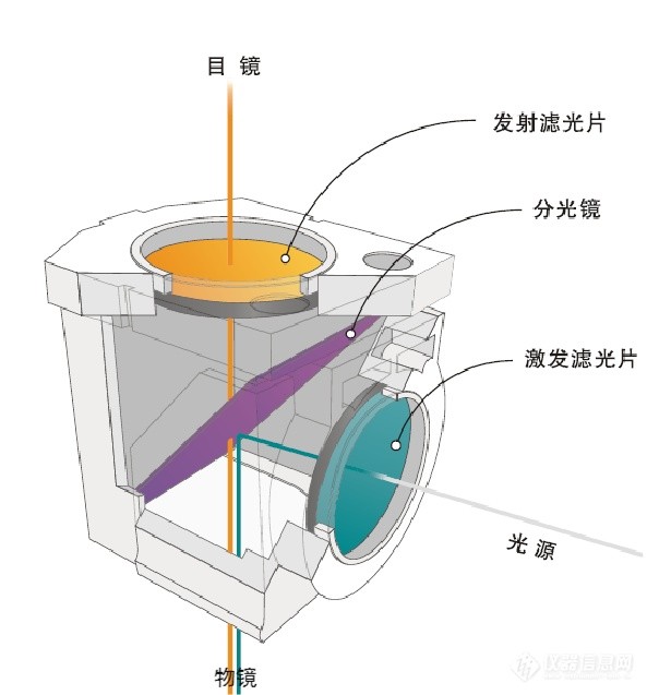 顯微鏡濾光片