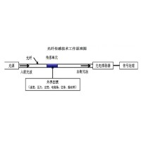 光纖傳感技術：崔洪亮和他的&ldquo;中國夢&rdquo;